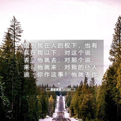 Picture 05 - 路 加 福 音 7:8 CUVS - 因 为 我 在 人 的 权 下 ， 也 有 兵 - Bible Verse Picture