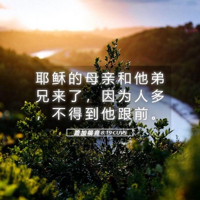 Picture 05 - 路 加 福 音 8:19 CUVS - 耶 稣 的 母 亲 和 他 弟 兄 来 了 ， - Bible Verse Picture