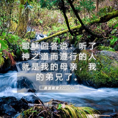 Picture 05 - 路 加 福 音 8:21 CUVS - 耶 稣 回 答 说 ： 听 了 神 之 道 而 - Bible Verse Picture