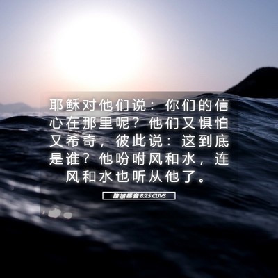 Picture 05 - 路 加 福 音 8:25 CUVS - 耶 稣 对 他 们 说 ： 你 们 的 信 心 - Bible Verse Picture