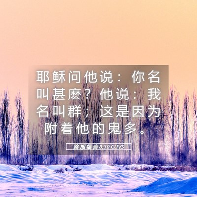 Picture 05 - 路 加 福 音 8:30 CUVS - 耶 稣 问 他 说 ： 你 名 叫 甚 麽 ？ - Bible Verse Picture