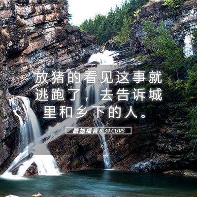 Picture 05 - 路 加 福 音 8:34 CUVS - 放 猪 的 看 见 这 事 就 逃 跑 了 ， - Bible Verse Picture