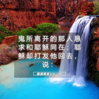 Picture 05 - 路 加 福 音 8:38 CUVS - 鬼 所 离 开 的 那 人 恳 求 和 耶 稣 - Bible Verse Picture