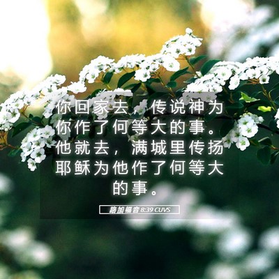 Picture 05 - 路 加 福 音 8:39 CUVS - 你 回 家 去 ， 传 说 神 为 你 作 了 - Bible Verse Picture