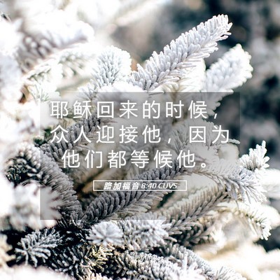 Picture 05 - 路 加 福 音 8:40 CUVS - 耶 稣 回 来 的 时 候 ， 众 人 迎 接 - Bible Verse Picture