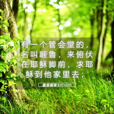 Picture 05 - 路 加 福 音 8:41 CUVS - 有 一 个 管 会 堂 的 ， 名 叫 睚 鲁 - Bible Verse Picture