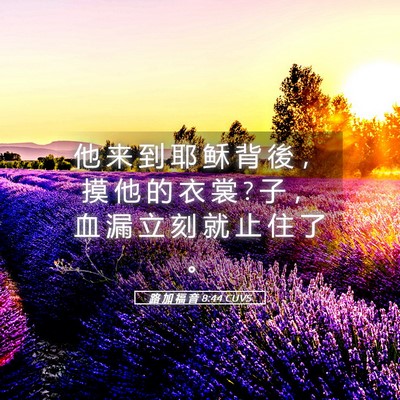 Picture 05 - 路 加 福 音 8:44 CUVS - 他 来 到 耶 稣 背 後 ， 摸 他 的 衣 - Bible Verse Picture