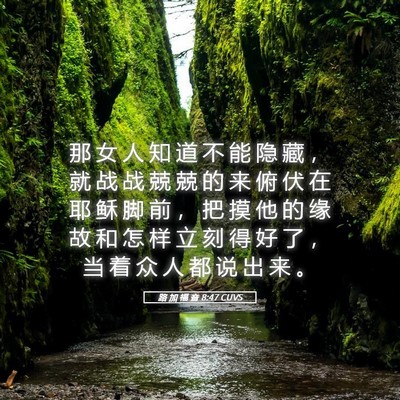 Picture 05 - 路 加 福 音 8:47 CUVS - 那 女 人 知 道 不 能 隐 藏 ， 就 战 - Bible Verse Picture