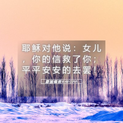 Picture 05 - 路 加 福 音 8:48 CUVS - 耶 稣 对 他 说 ： 女 儿 ， 你 的 信 - Bible Verse Picture