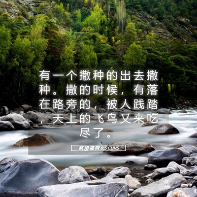 Picture 05 - 路 加 福 音 8:5 CUVS - 有 一 个 撒 种 的 出 去 撒 种 。 撒 - Bible Verse Picture