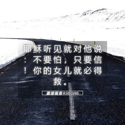 Picture 05 - 路 加 福 音 8:50 CUVS - 耶 稣 听 见 就 对 他 说 ： 不 要 怕 - Bible Verse Picture