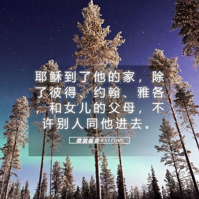 Picture 05 - 路 加 福 音 8:51 CUVS - 耶 稣 到 了 他 的 家 ， 除 了 彼 得 - Bible Verse Picture