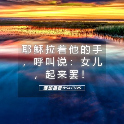 Picture 05 - 路 加 福 音 8:54 CUVS - 耶 稣 拉 着 他 的 手 ， 呼 叫 说 ： - Bible Verse Picture