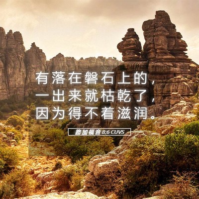 Picture 05 - 路 加 福 音 8:6 CUVS - 有 落 在 磐 石 上 的 ， 一 出 来 就 - Bible Verse Picture