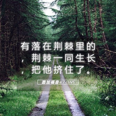 Picture 05 - 路 加 福 音 8:7 CUVS - 有 落 在 荆 棘 里 的 ， 荆 棘 一 同 - Bible Verse Picture
