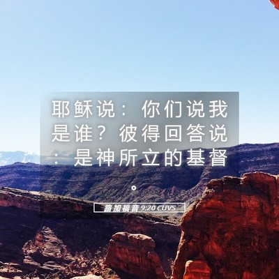 Picture 05 - 路 加 福 音 9:20 CUVS - 耶 稣 说 ： 你 们 说 我 是 谁 ？ 彼 - Bible Verse Picture