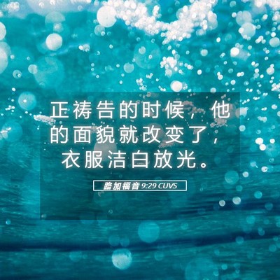 Picture 05 - 路 加 福 音 9:29 CUVS - 正 祷 告 的 时 候 ， 他 的 面 貌 就 - Bible Verse Picture
