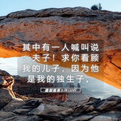 Picture 05 - 路 加 福 音 9:38 CUVS - 其 中 有 一 人 喊 叫 说 ： 夫 子 ！ - Bible Verse Picture