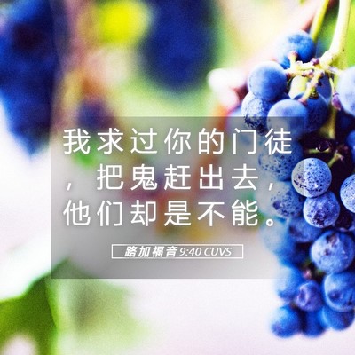 Picture 05 - 路 加 福 音 9:40 CUVS - 我 求 过 你 的 门 徒 ， 把 鬼 赶 出 - Bible Verse Picture