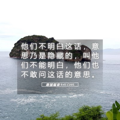 Picture 05 - 路 加 福 音 9:45 CUVS - 他 们 不 明 白 这 话 ， 意 思 乃 是 - Bible Verse Picture