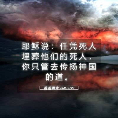 Picture 05 - 路 加 福 音 9:60 CUVS - 耶 稣 说 ： 任 凭 死 人 埋 葬 他 们 - Bible Verse Picture