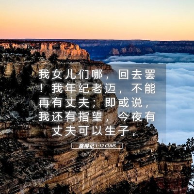Picture 05 - 路 得 记 1:12 CUVS - 我 女 儿 们 哪 ， 回 去 罢 ！ 我 年 - Bible Verse Picture