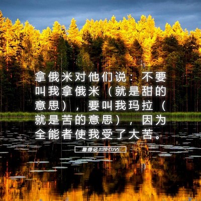 Picture 05 - 路 得 记 1:20 CUVS - 拿 俄 米 对 他 们 说 ： 不 要 叫 我 - Bible Verse Picture