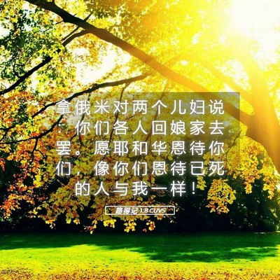 Picture 05 - 路 得 记 1:8 CUVS - 拿 俄 米 对 两 个 儿 妇 说 ： 你 们 - Bible Verse Picture