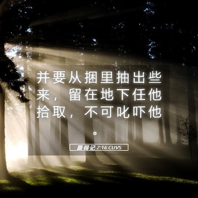 Picture 05 - 路 得 记 2:16 CUVS - 并 要 从 捆 里 抽 出 些 来 ， 留 在 - Bible Verse Picture