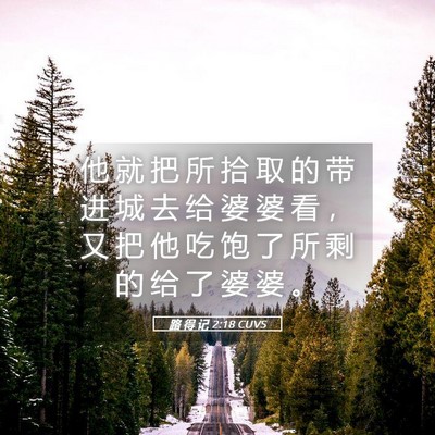 Picture 05 - 路 得 记 2:18 CUVS - 他 就 把 所 拾 取 的 带 进 城 去 给 - Bible Verse Picture