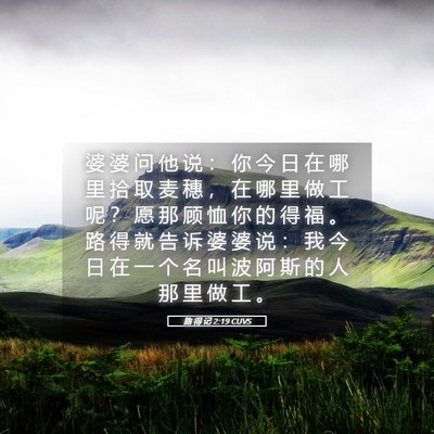 Picture 05 - 路 得 记 2:19 CUVS - 婆 婆 问 他 说 ： 你 今 日 在 哪 里 - Bible Verse Picture
