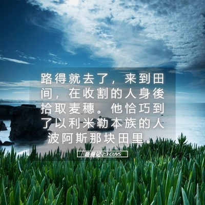 Picture 05 - 路 得 记 2:3 CUVS - 路 得 就 去 了 ， 来 到 田 间 ， 在 - Bible Verse Picture