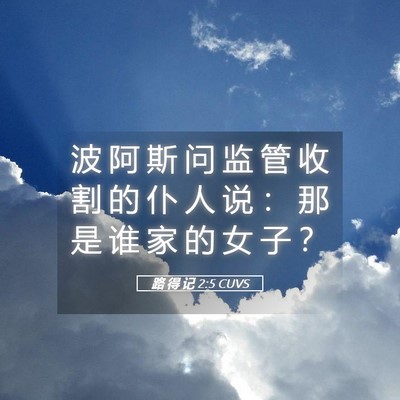 Picture 05 - 路 得 记 2:5 CUVS - 波 阿 斯 问 监 管 收 割 的 仆 人 说 - Bible Verse Picture