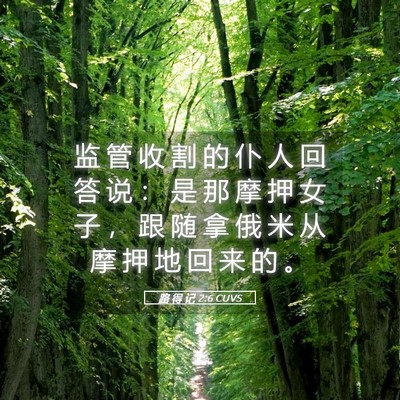 Picture 05 - 路 得 记 2:6 CUVS - 监 管 收 割 的 仆 人 回 答 说 ： 是 - Bible Verse Picture