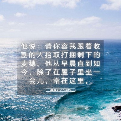 Picture 05 - 路 得 记 2:7 CUVS - 他 说 ： 请 你 容 我 跟 着 收 割 的 - Bible Verse Picture