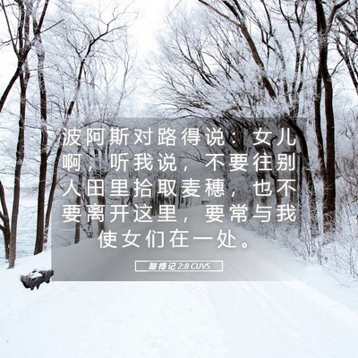 Picture 05 - 路 得 记 2:8 CUVS - 波 阿 斯 对 路 得 说 ： 女 儿 啊 ， - Bible Verse Picture