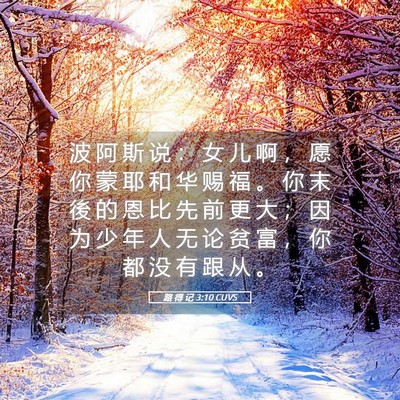 Picture 05 - 路 得 记 3:10 CUVS - 波 阿 斯 说 ： 女 儿 啊 ， 愿 你 蒙 - Bible Verse Picture