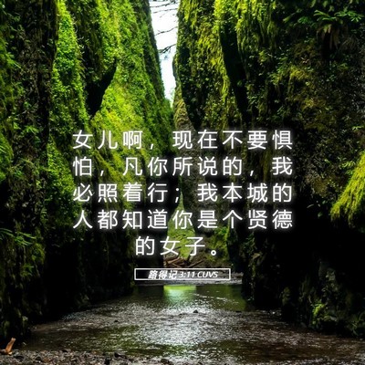 Picture 05 - 路 得 记 3:11 CUVS - 女 儿 啊 ， 现 在 不 要 惧 怕 ， 凡 - Bible Verse Picture