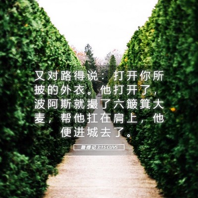 Picture 05 - 路 得 记 3:15 CUVS - 又 对 路 得 说 ： 打 开 你 所 披 的 - Bible Verse Picture