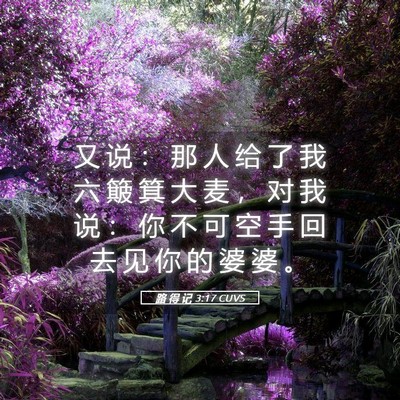 Picture 05 - 路 得 记 3:17 CUVS - 又 说 ： 那 人 给 了 我 六 簸 箕 大 - Bible Verse Picture