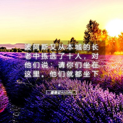 Picture 05 - 路 得 记 4:2 CUVS - 波 阿 斯 又 从 本 城 的 长 老 中 拣 - Bible Verse Picture
