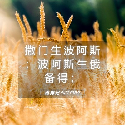 Picture 05 - 路 得 记 4:21 CUVS - 撒 门 生 波 阿 斯 ； 波 阿 斯 生 俄 - Bible Verse Picture