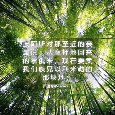 Picture 05 - 路 得 记 4:3 CUVS - 波 阿 斯 对 那 至 近 的 亲 属 说 ： - Bible Verse Picture