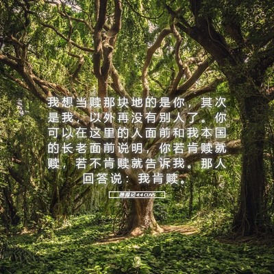 Picture 05 - 路 得 记 4:4 CUVS - 我 想 当 赎 那 块 地 的 是 你 ， 其 - Bible Verse Picture