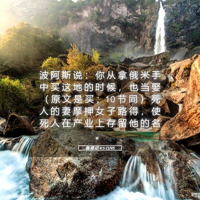 Picture 05 - 路 得 记 4:5 CUVS - 波 阿 斯 说 ： 你 从 拿 俄 米 手 中 - Bible Verse Picture