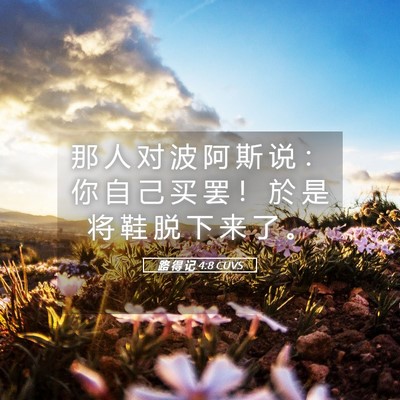 Picture 05 - 路 得 记 4:8 CUVS - 那 人 对 波 阿 斯 说 ： 你 自 己 买 - Bible Verse Picture