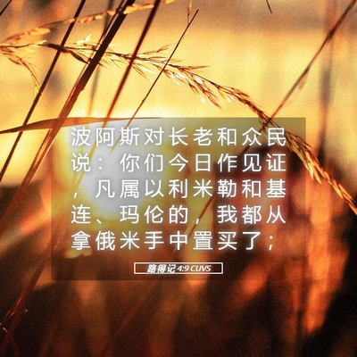 Picture 05 - 路 得 记 4:9 CUVS - 波 阿 斯 对 长 老 和 众 民 说 ： 你 - Bible Verse Picture
