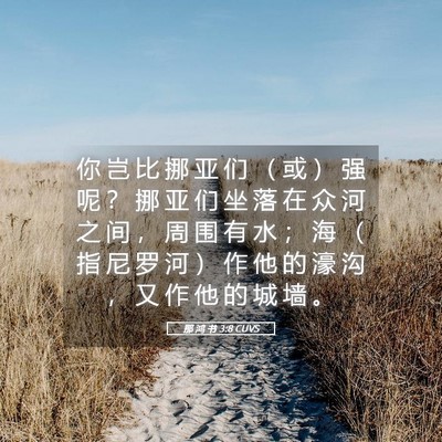 Picture 05 - 那 鸿 书 3:8 CUVS - 你 岂 比 挪 亚 们 （ 或 ） 强 呢 ？ - Bible Verse Picture