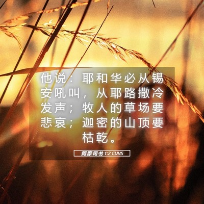 Picture 05 - 阿 摩 司 书 1:2 CUVS - 他 说 ： 耶 和 华 必 从 锡 安 吼 叫 - Bible Verse Picture
