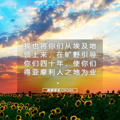 Picture 05 - 阿 摩 司 书 2:10 CUVS - 我 也 将 你 们 从 埃 及 地 领 上 来 - Bible Verse Picture